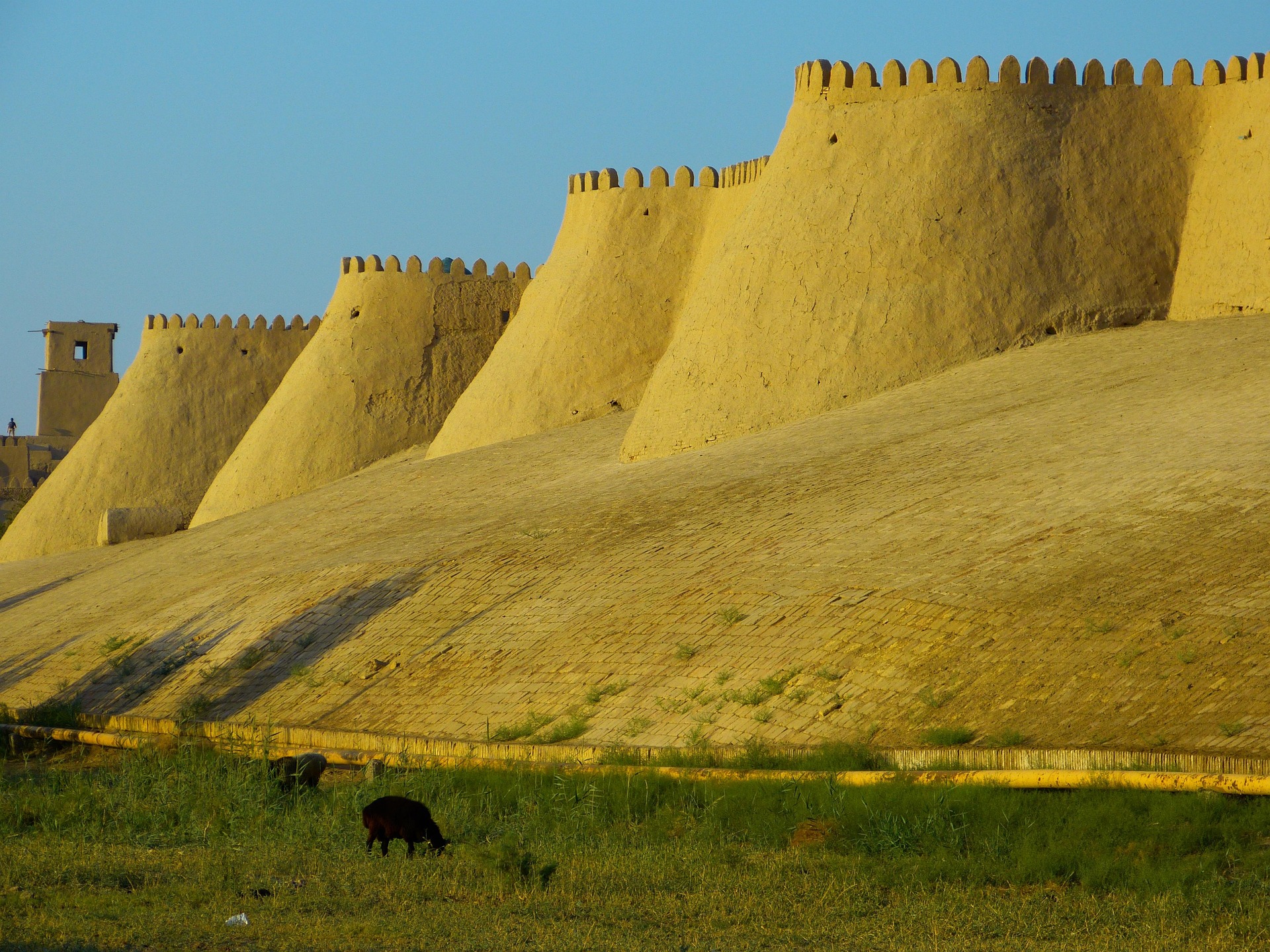 loggawiggler-khiva-198601_1920