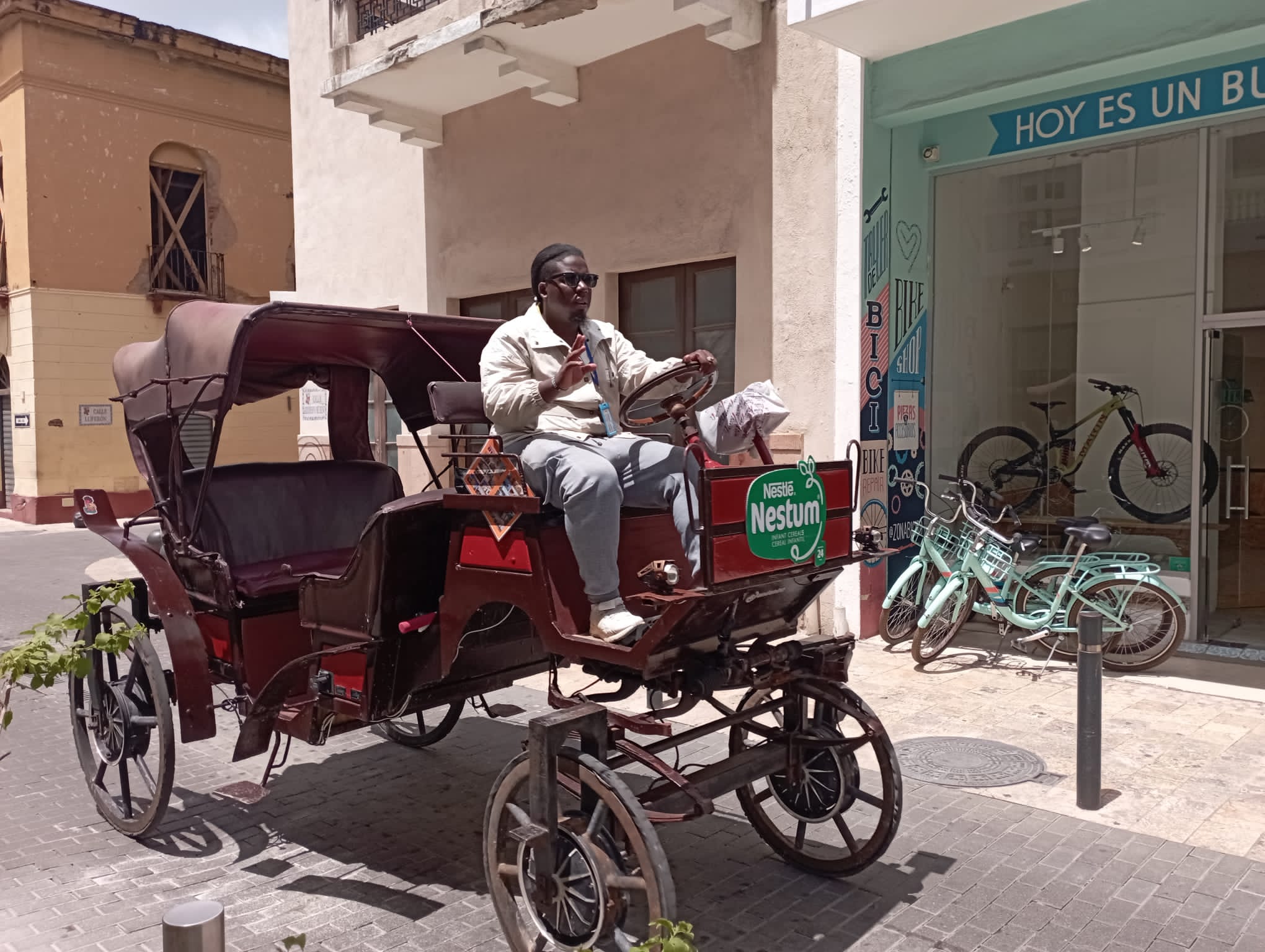 Persona manejando carruaje turtistico